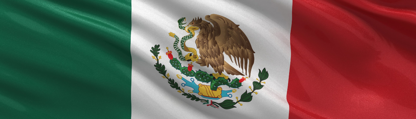 Mexican National Team World Cup Tickets