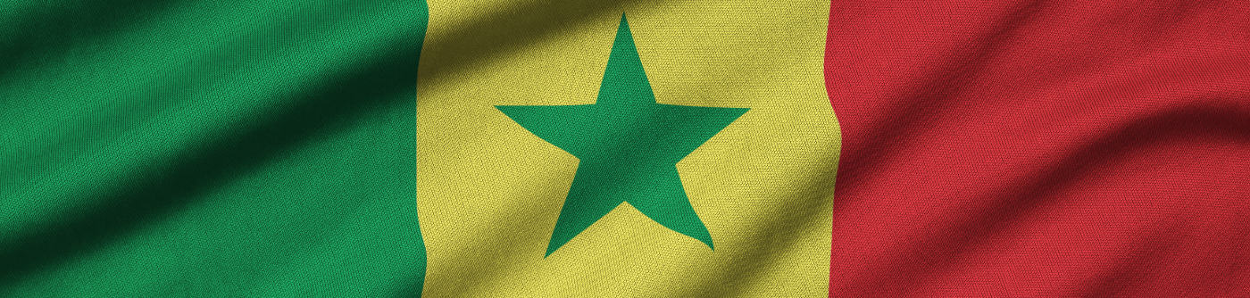 Senegalese National Team World Cup Tickets